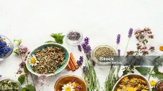 岭南风情：佛山桑拿按摩的文化底蕴与地域特色 海报