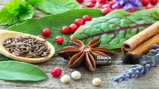 千年古法焕新生：揭秘按摩的前世今生，原来它比你想象的更古老！ poster