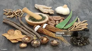 佛山叹世界：指尖上的岭南风情，按摩里的文化密码 海报