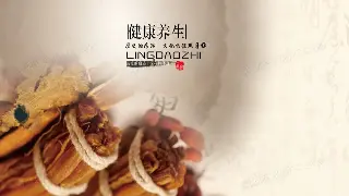 佛山叹世界：指尖上的岭南风情，按摩里的文化密码 海报