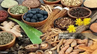 “慢”下来的力量：专访养生大师李时珍后裔，揭秘佛山长寿秘诀 海报