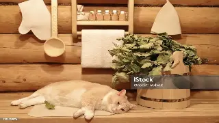 穿越古今：佛山按摩历史的长河与财富密码