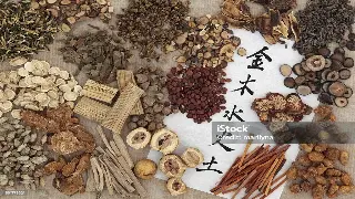 佛山禅宗与推拿：一脉相承的疗愈智慧